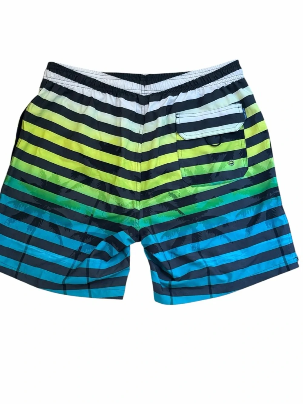 NWT L Hot Coals Men's Striped Lined Swim Trunks in Green & Blue